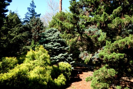 Stanley M. Rowe Arboretum - DSC03297