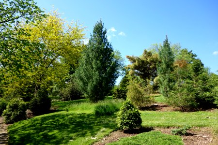Stanley M. Rowe Arboretum - DSC03399