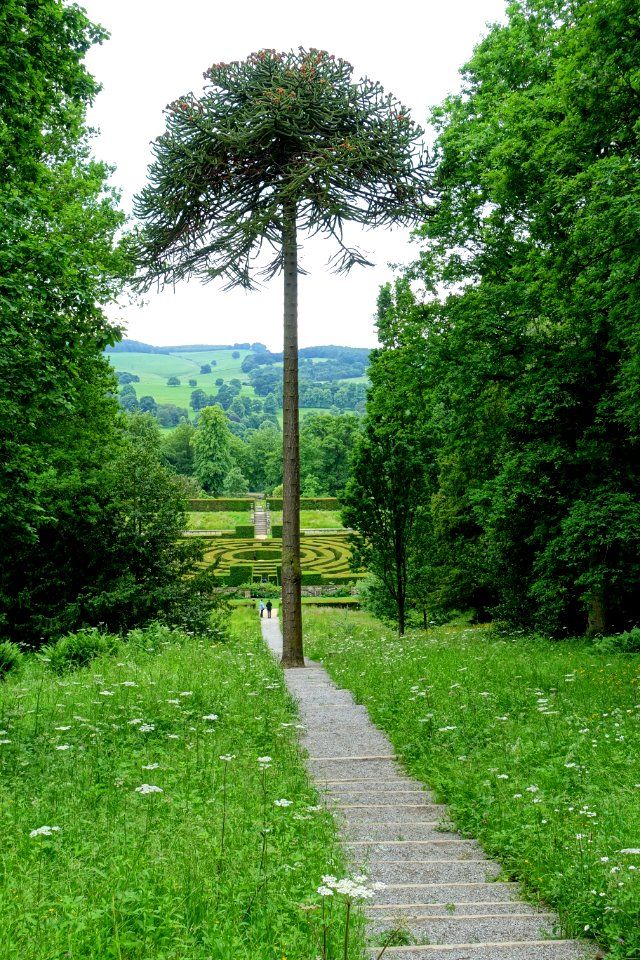 Stairs to the maze - Chatsworth House - Derbyshire, England - DSC03621