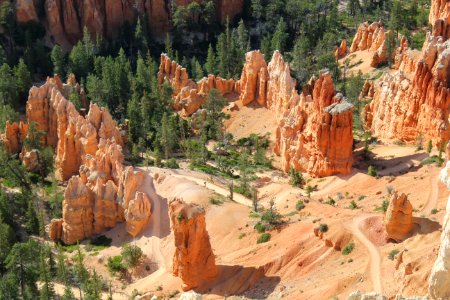 Standing Hoodoos at Bryce Canyon