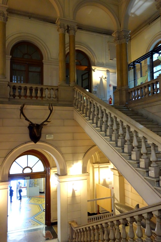 Stairway - Museo Civico di Storia Naturale Giacomo Doria - Genoa, Italy - DSC03066