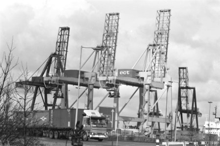 Staking in Rotterdamse haven staking bij ECT, Bestanddeelnr 933-8912