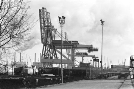 Staking in Rotterdamse haven staking bij ECT, Bestanddeelnr 933-8913