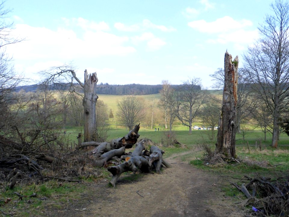 Stanmer Park, Stanmer, near Brighton (April 2013) (1)
