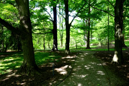 Stanley M. Rowe Arboretum - DSC03431