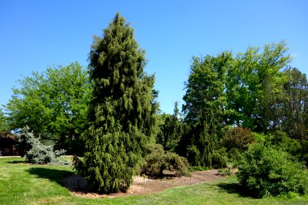 Stanley M. Rowe Arboretum - DSC03357