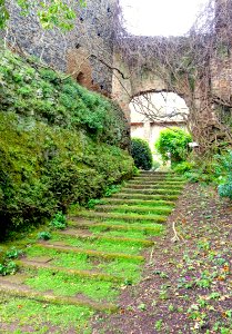 Stairway into the ruins - Torrecchia Vecchia - Cisterna di Latina, Italy - DSC03223