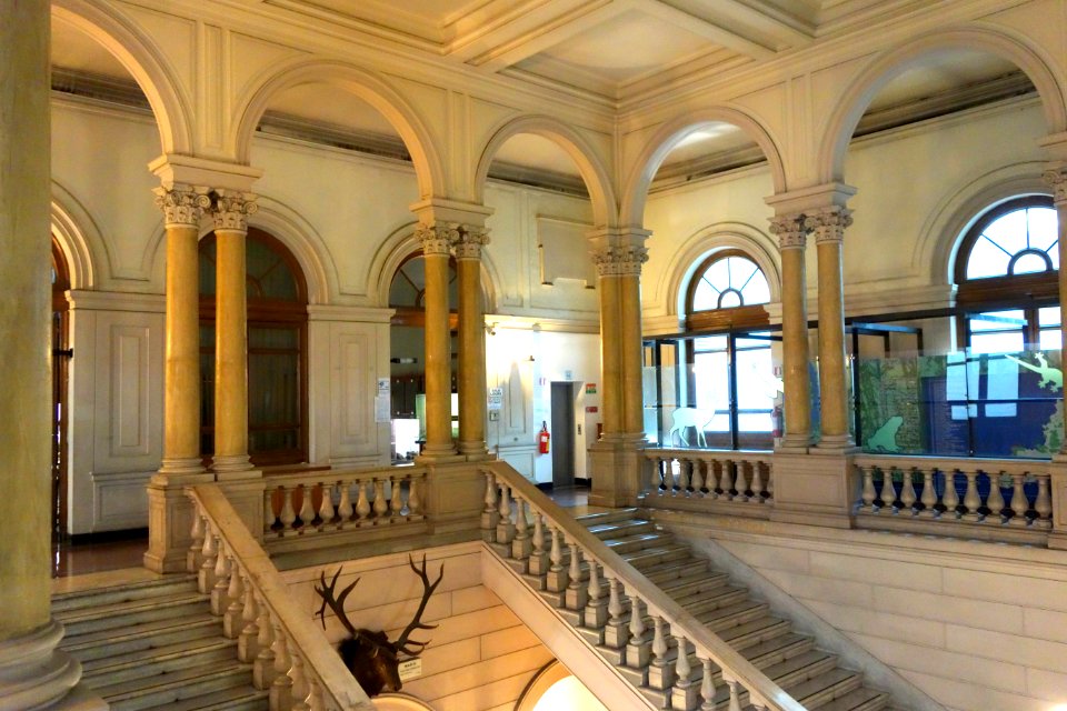 Stairway - Museo Civico di Storia Naturale Giacomo Doria - Genoa, Italy - DSC03286