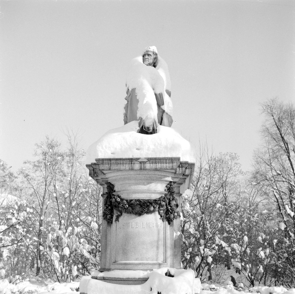 Standbeeld van de chemicus Baron Justus von Liebig in de sneeuw, Bestanddeelnr 254-3743