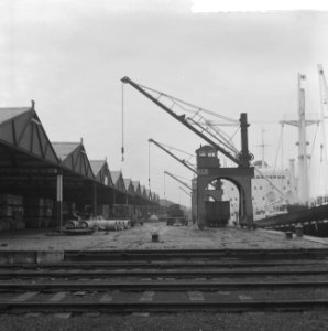 Staking in de haven van Antwerpen, verlaten kades in de haven, Bestanddeelnr 911-9060