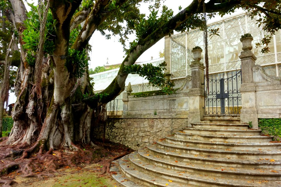 Stairs, gate, and greenhouse - Jardim Botânico da Universidade de Coimbra - Coimbra, Portugal - DSC08806