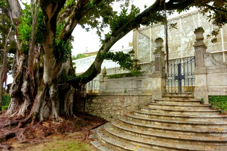 Stairs, gate, and greenhouse - Jardim Botânico da Universidade de Coimbra - Coimbra, Portugal - DSC08806