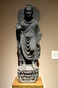 Standing Buddha, India, 2nd-3rd century AD, schist - Chazen Museum of Art - DSC01598