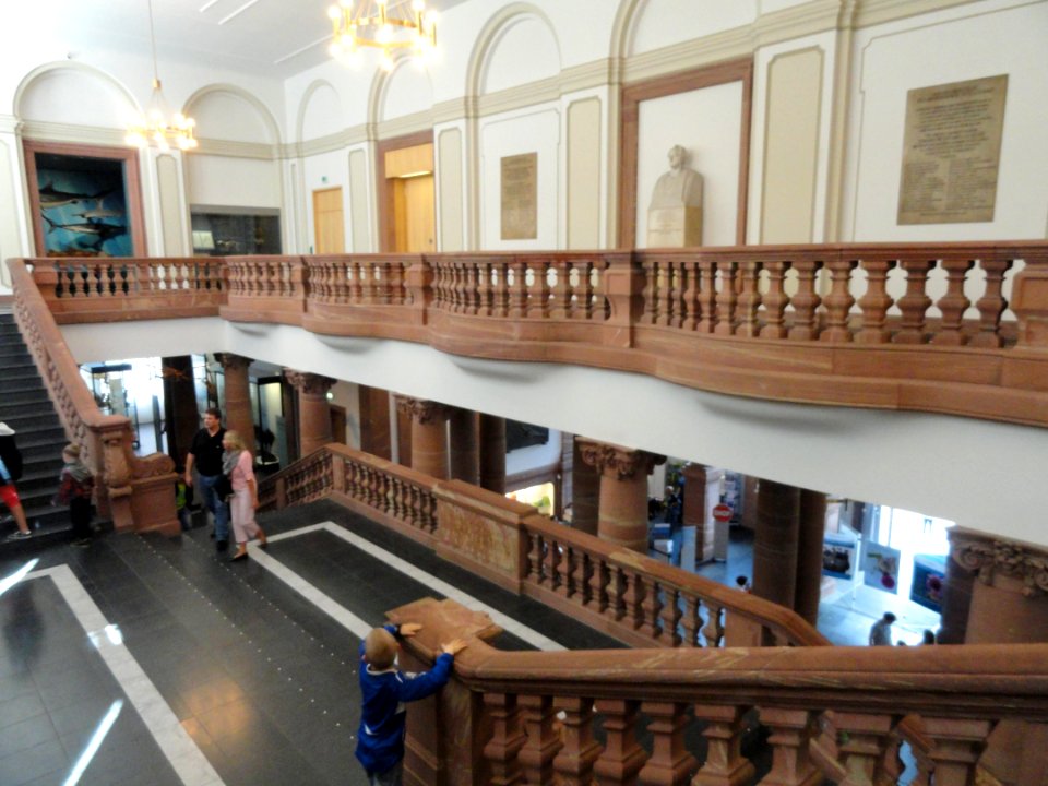 Stairway - Naturmuseum Senckenberg - DSC02106