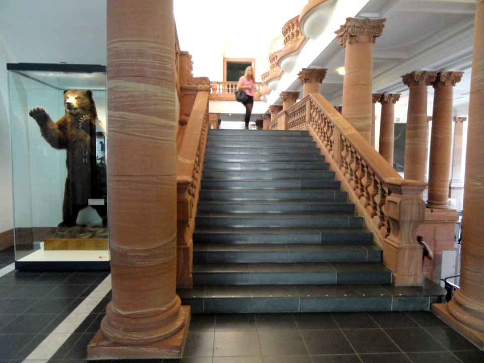 Stairway - Naturmuseum Senckenberg - DSC02105