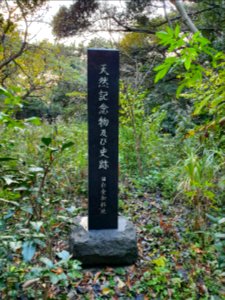 Start of winter at Institute for Nature Study 8