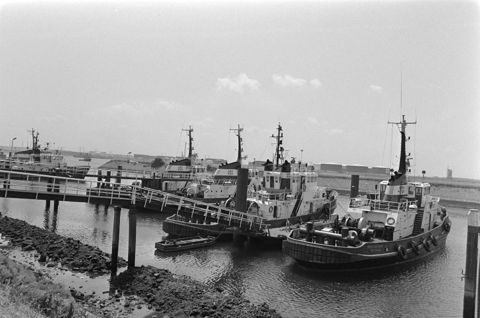 Staking personeel Nieuwe Rotterdamse Sleepdienst sleepborten in de haven, Bestanddeelnr 933-3731