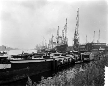 Staking in de Amsterdamse haven, Bestanddeelnr 911-4902