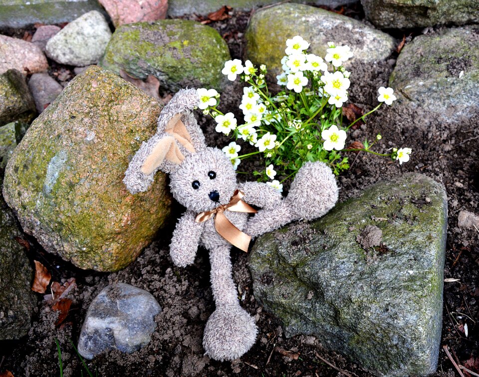 Hare stuffed animal sweet