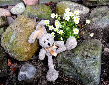 Hare stuffed animal sweet