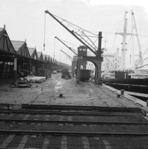 Staking in de haven van Antwerpen, Bestanddeelnr 911-9057