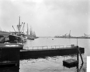 Staking in de Amsterdamse haven, Bestanddeelnr 911-4903