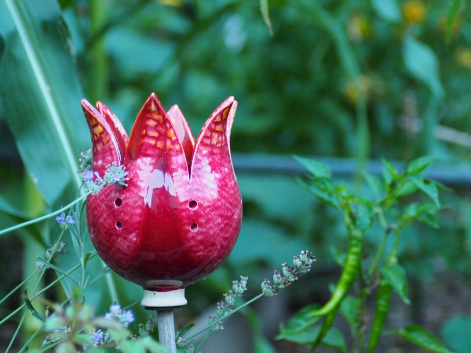 Decoration nature garden
