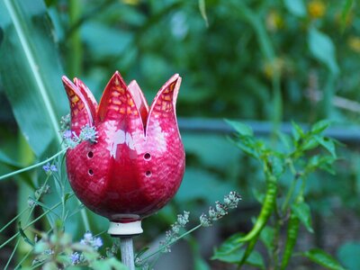 Decoration nature garden