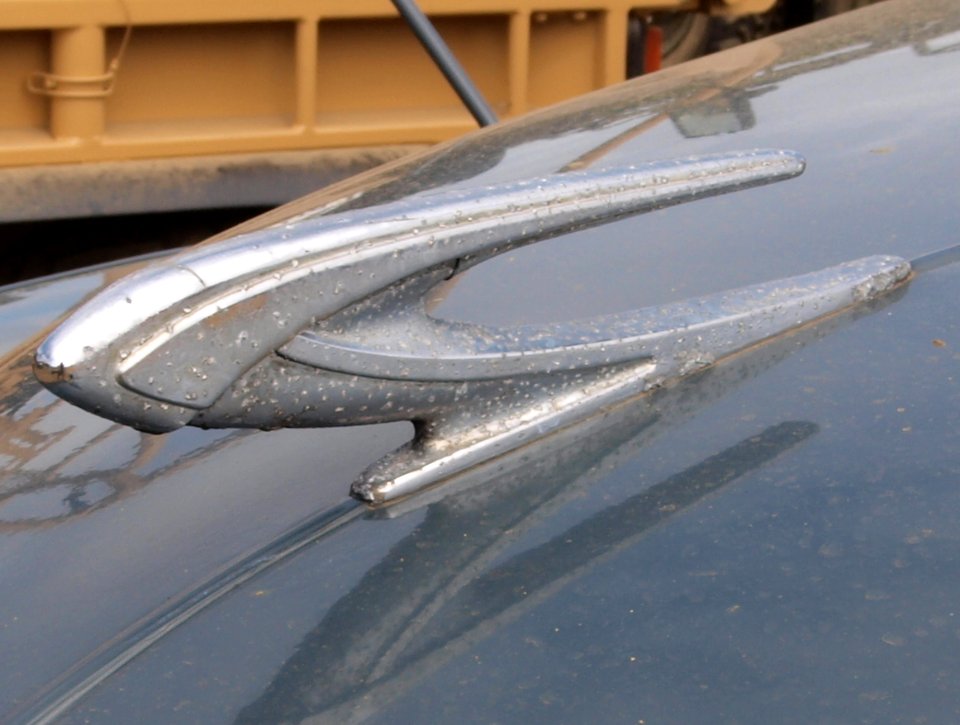 Standard Vanguard Phase 1A Pick-Up pic4