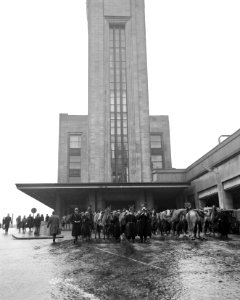 Staking in Belgie, Rijkswacht te paard, Bestanddeelnr 911-9242