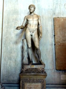 Statue of a male in the Vatican museum, SUPHAX NUMIDIAEREX photo