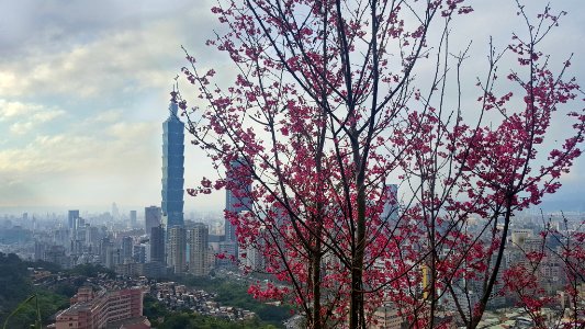 Start Of New Year In Taipei (247423967)