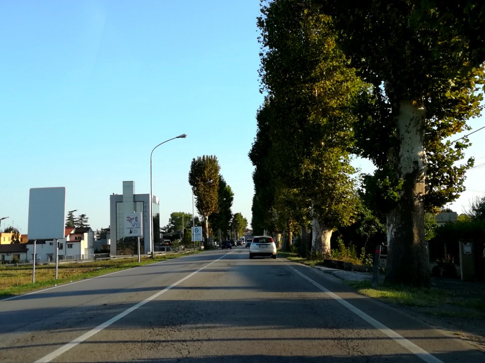 Stanghella 02