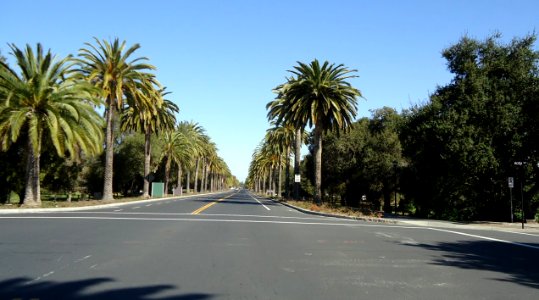 Stanford University March 2012 6 photo