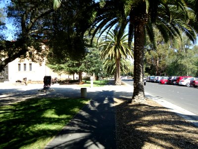 Stanford University March 2012 approaching Rodin exhibit