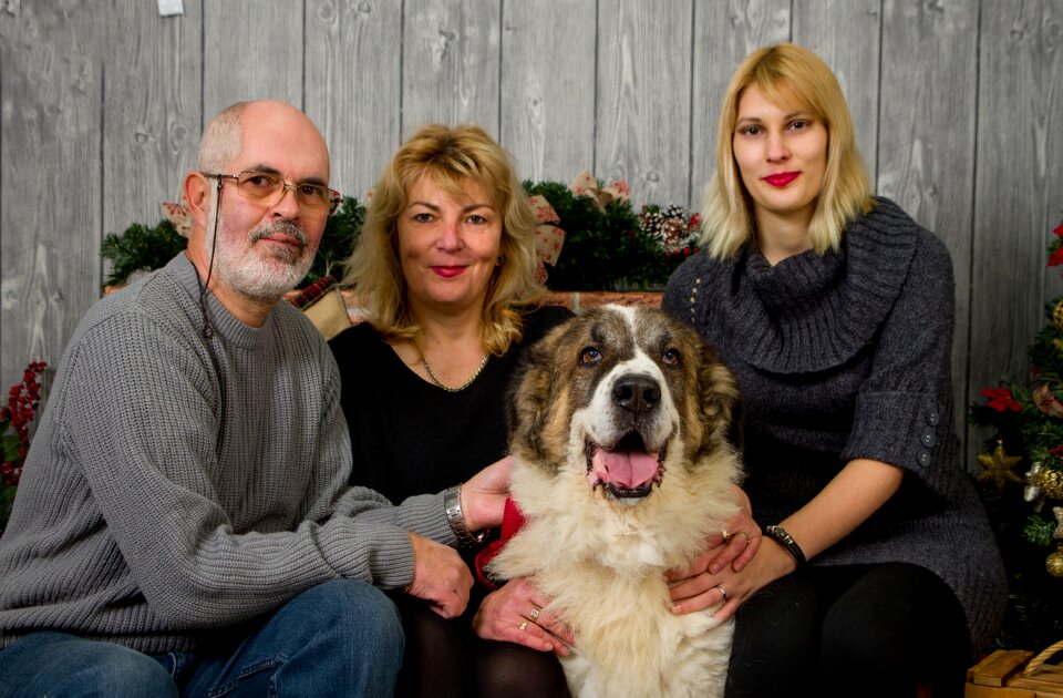 Dog christmas family christmas dog