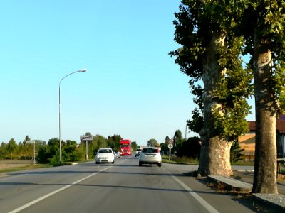 Stanghella 11