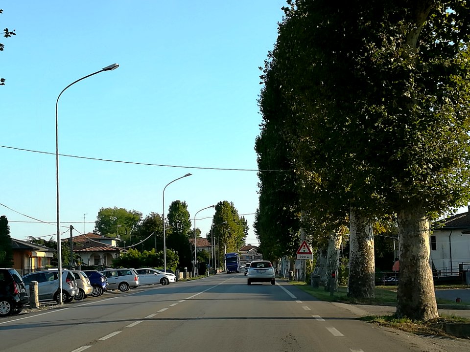 Stanghella 05