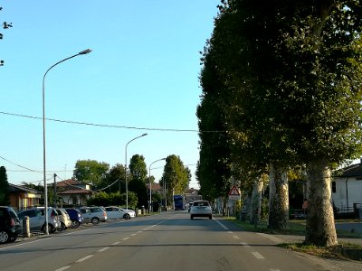 Stanghella 05