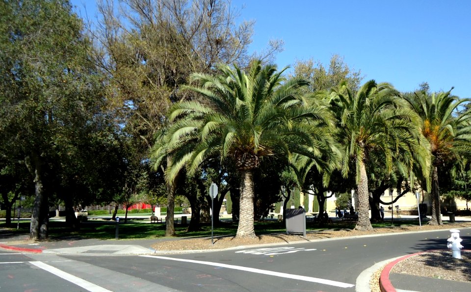 Stanford University March 2012 35