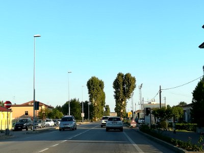 Stanghella 08