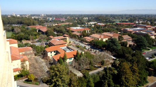 Stanford University March 2012 47 photo