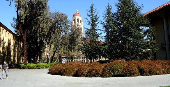 Stanford University March 2012 36 photo