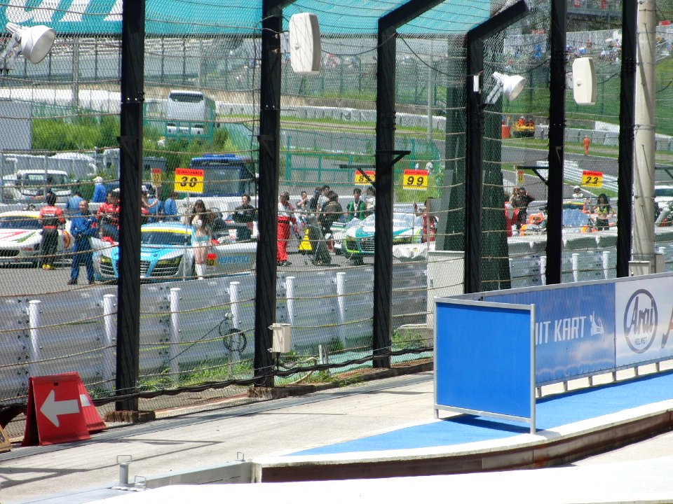 Starting grid at 2012 Pokka 1000km (1)