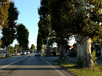Stanghella 04