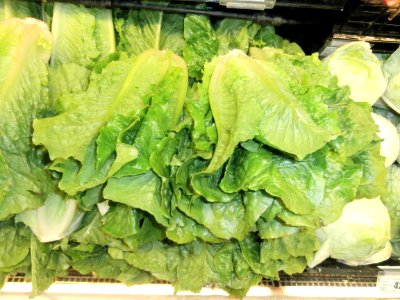 Stack of romaine lettuce heads photo
