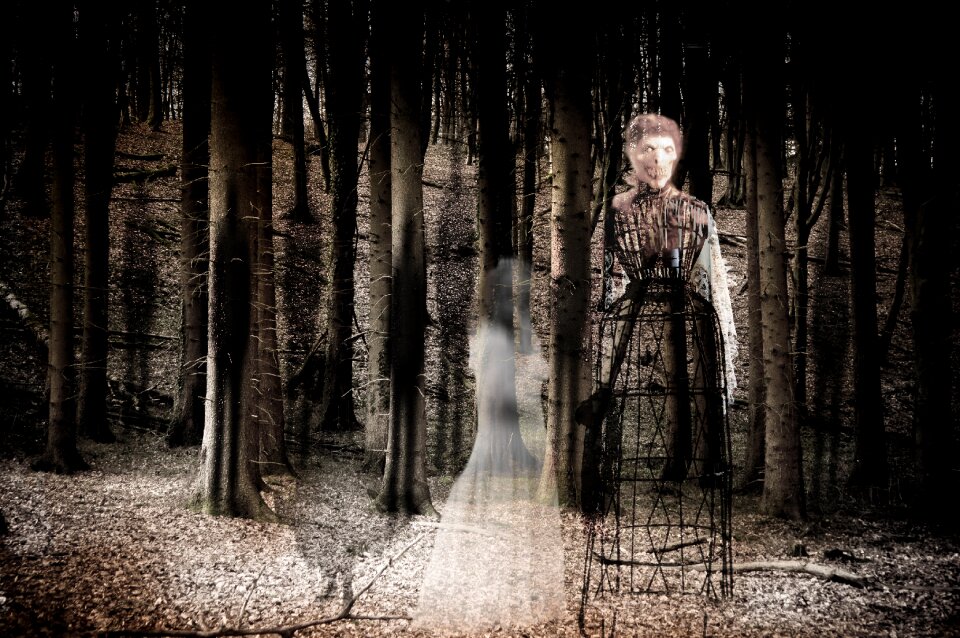 Mystical forest spirits horror