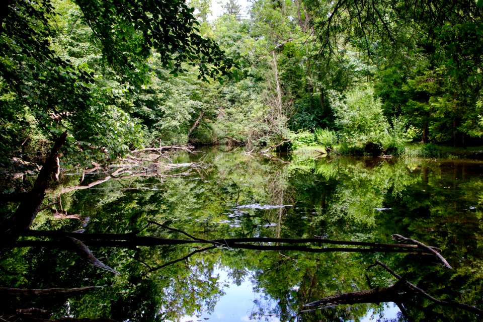 Stadtwald weilheim2