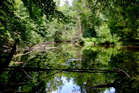 Stadtwald weilheim2