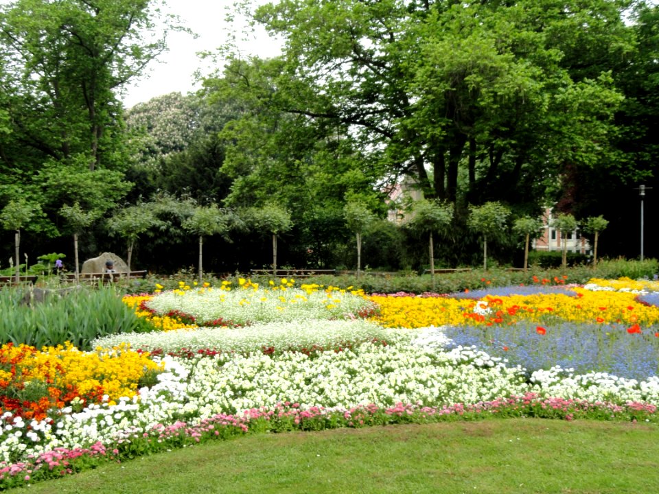 Stadtgarten Freiburg - DSC06712